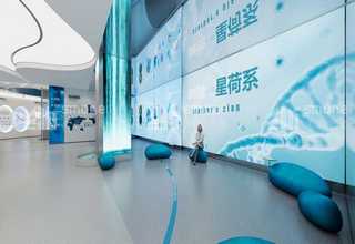 广东防爆健身球公司
